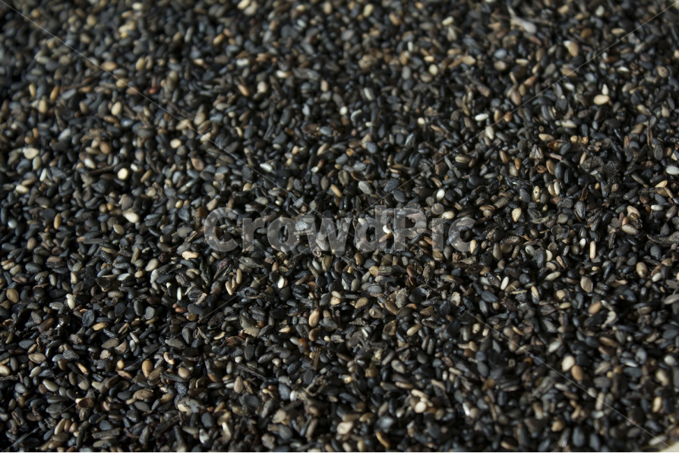 closeup,dry,dummy,food,grain,macro,meal,natural,nature,organic,plant,seed,seeds,sesame,sesameseed,sesameseeds,top,topangle,topview,깨,참깨,곡식,곡류,음식,음식재료,식재료,식물,씨앗,씨,말린,말리는,건조,자연,클로즈업,탑앵글,탑뷰,깨소금,농작물,농촌,농사,검정,블랙,검은색,black,검은깨,곡류,곡식,cereals