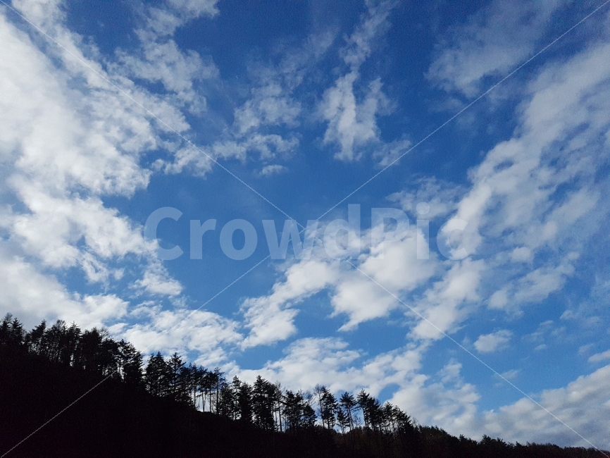하늘,구름,나무,풍경,푸른색,겨울,아침,자연,풍경,nature,landscape,outdoors,옥외,sky,azure sky,푸른 하늘,weather,날씨,cumulus,적운,cloud