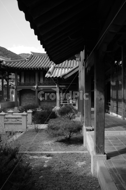 한옥,흑백,옛날,전통,문화,한국전통,한국문화,korean traditional,korean culture,흑백,모노톤,monochrome,black and white,건축물,건물외관,exterior,building,structure,architecture,construction