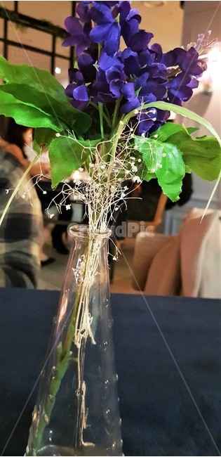 꽃병,화병,인테리어,소품,꽃,보라색꽃,이쁘다,꾸미다,flower,avase,purple,decoration,꽃,flower,실내용화초,화분,화초,house plant