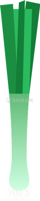 그래픽,일러스트,png,food,음식,vegetable,채소,파,대파