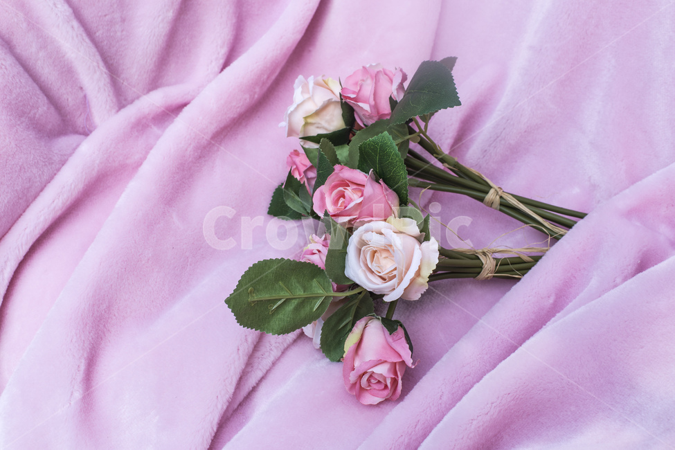 꽃,장미,장미꽃,로즈,조화,핑크,분홍,배경,백그라운드,꽃,flower