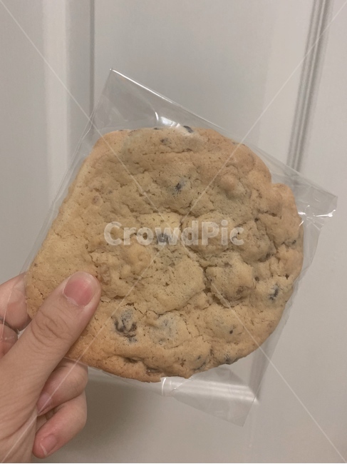 쿠키,수제쿠키,cookie,초코릿칩쿠키,chocolatechipcookie,초코쿠키