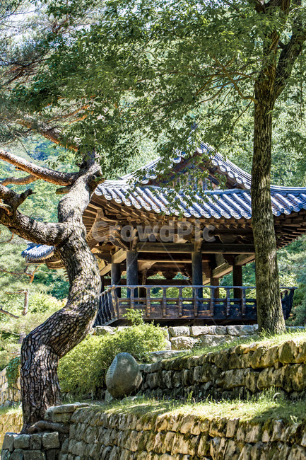 교귀정,정자,문경새재,도립공원,국민관광지,힐링,소나무,전통건축물,한옥,한국의미,한국전통,한국문화,korean traditional,korean culture
