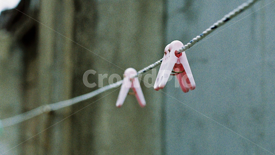 빨래줄,빨래,빨래집게,clothespin,peg