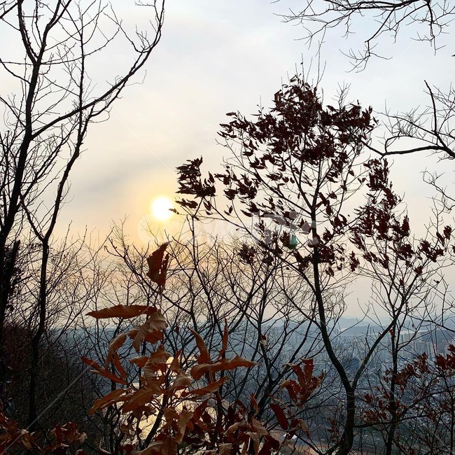 나무,산,하늘,태양,자연,자연,풍경,nature,landscape,flare,플레어,light,빛,sunlight,햇빛,outdoors,옥외