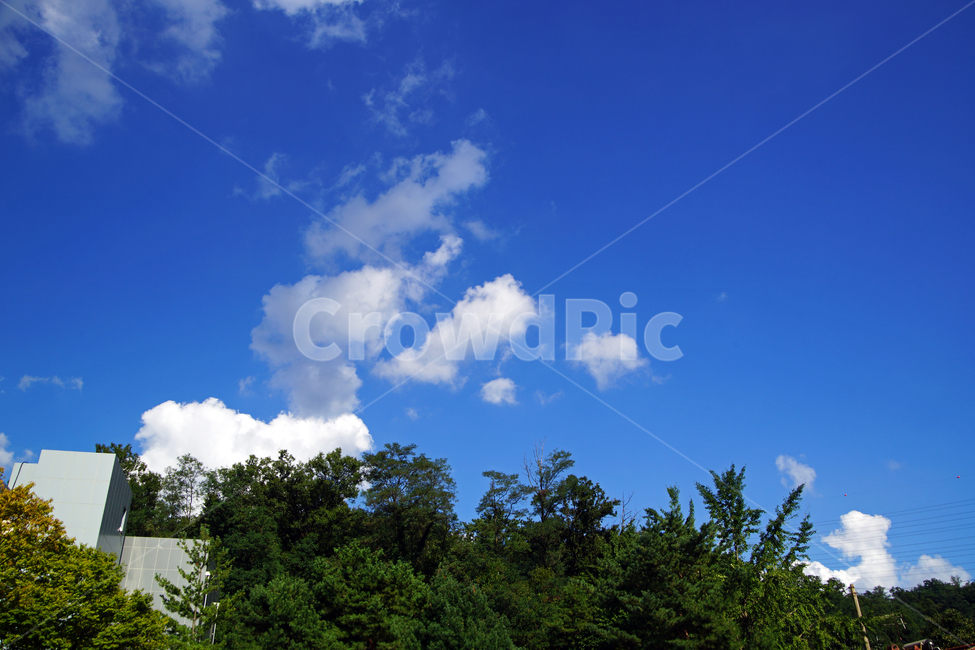 구름,하늘,흰구름,의왕시,자연,푸른하늘,숲,자연,풍경,nature,landscape,나무,trees,wood,outdoors,옥외,weather,날씨,cloud,sky,cumulus,적운