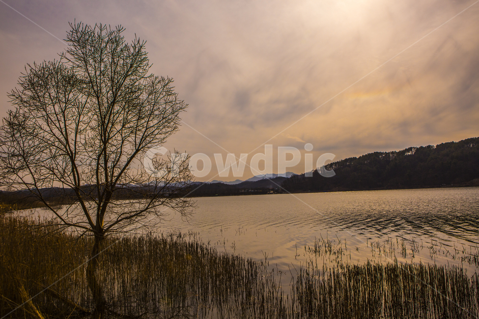 nature,자연,water,outdoors,plant,식물,야경,옥천,수북리,대청호,자연,풍경,nature,landscape,물,옥외,land,땅,grass,잔디