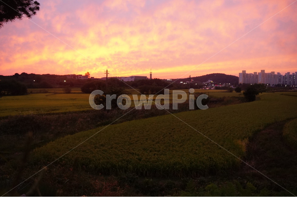 자연,nature,석양,하늘,sky,빨간색,붉은하늘,붉은노을,들판,outdoor,들,자연,풍경,nature,landscape,outdoors,옥외