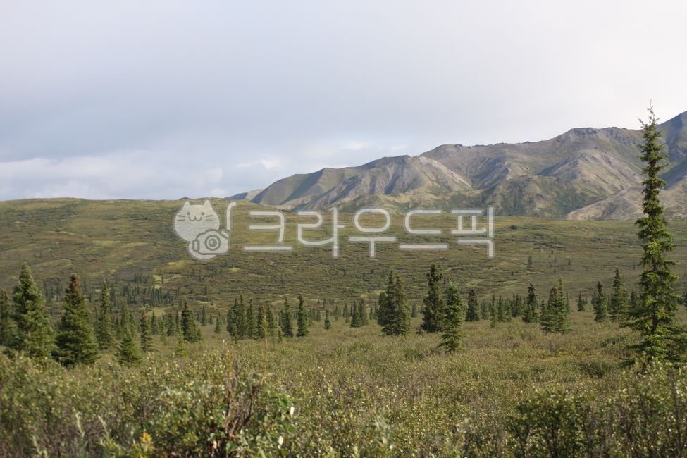 cloud,tundra,mountain,Denali National Park,nature,trekking,alaska,sight,Alaska,denalinationalpark