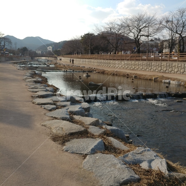 풍경,강가,황새,뱁새,나무,구미시,오리,자연,풍경,nature,landscape,slate,슬레이트