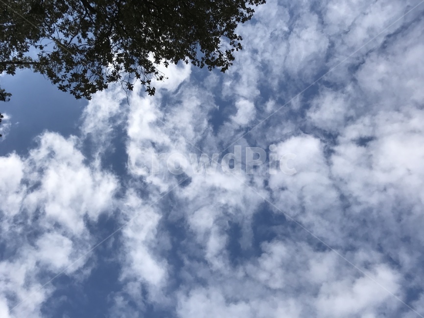 하늘,고요함,푸른하늘,구름,나무,sky,bluesky,cloud,tree,자연,풍경,nature,landscape