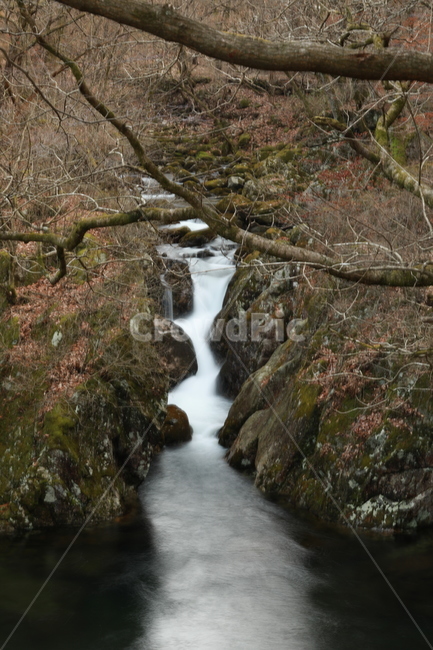 개울,가을산,치악산,물,water,자연