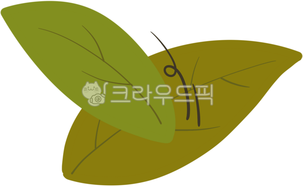 maple tree,autumn tree,autumn,maple leaves,autumn fruit,maple leaves,fall,leaves,leaves,grass,falling leaves,leaves