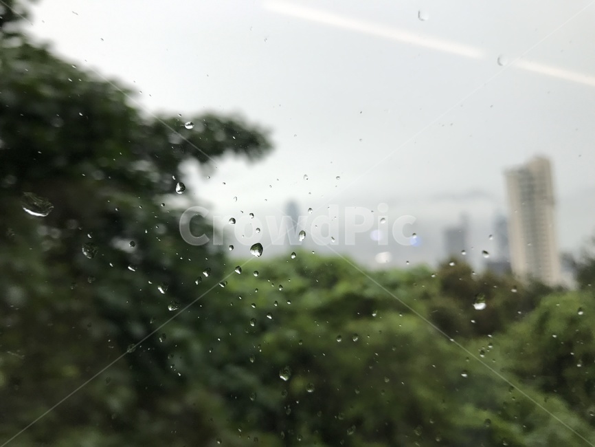 waterdrop,물방울,유리물방물,빗방물,rain