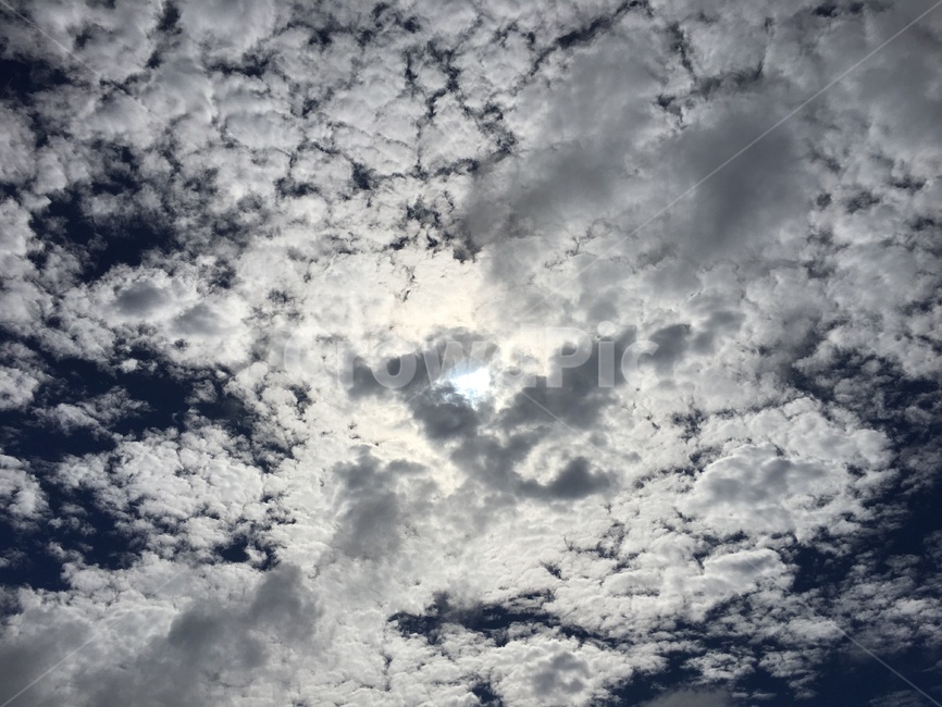 nature,자연,날씨,적운,구름,하늘,cloud,weather,cumulus
