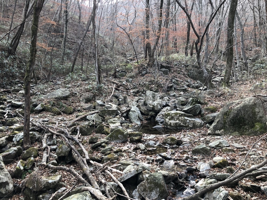 계곡,바닥,ground,돌,겨울,winter,숲