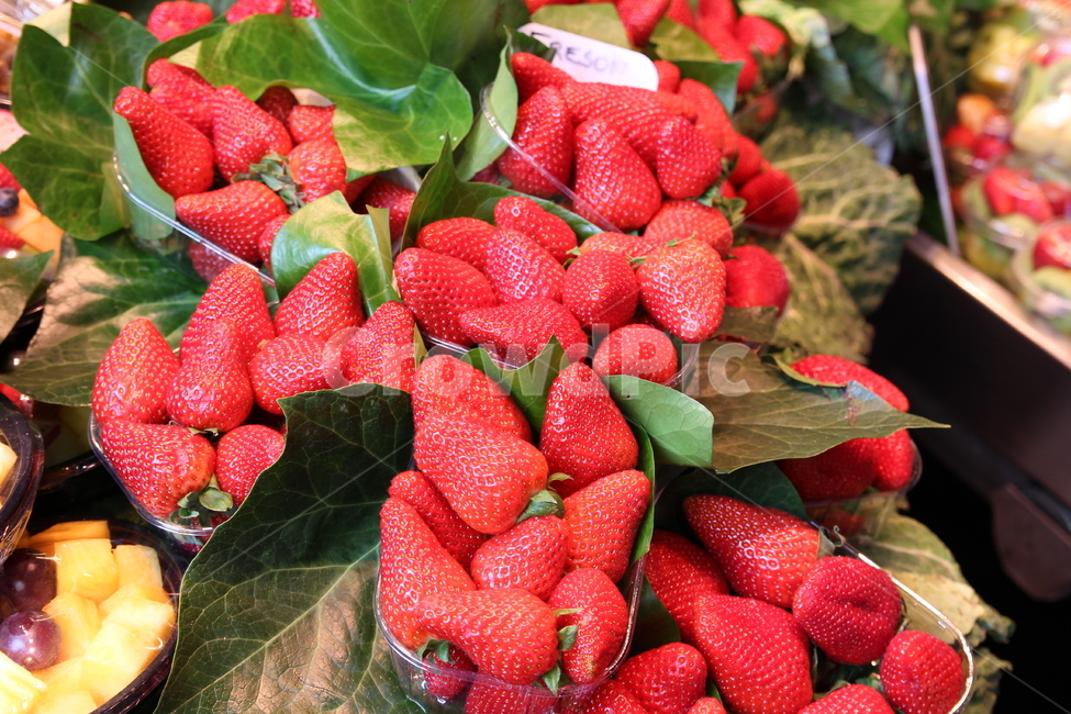 과일,음식,딸기,strawberry,fruit,빨강