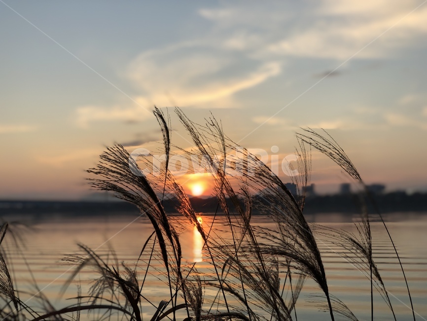 nature,자연,outdoors,옥외,sky,redsky,일몰,sunset,하늘,붉은하늘,dusk,황혼,dawn,새벽,빛,light,플레어,flare