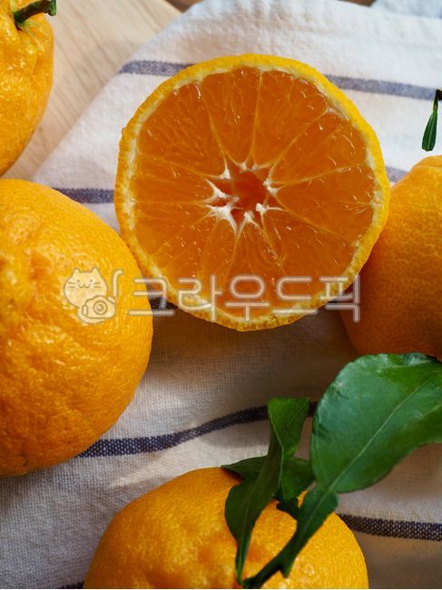 제주한라봉,한라봉,제주도특산품,감귤류,과일,제주도,한국,노랑,음식,배경,웰빙,웰빙음식,다이어트식품,간식,후식,감귤류과일,jejuhallabong,hallabong,jejuislandspecialties,citrusfruit,fruit,jejuisland,korea,yellow,food,background,wellbeing,wellbeingfood,dietfood,snack,dessert,주황색,식물,orange,plant,과일,열매,fruit