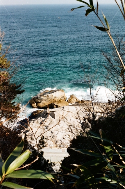 바다,수평선,파도,속초,풍경,시원함,파랑,자연,자연,풍경,nature,landscape,promontory,곶,tree,나무,plant,식물