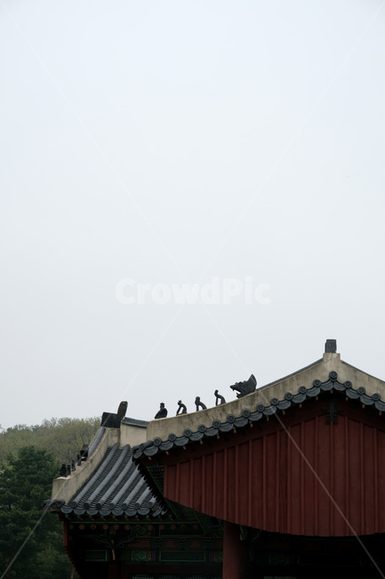 roof,지붕,융건릉,조선왕릉,어처구니,전통건물,조선시대,조선,조선왕조,전통,기와지붕,기와,한국전통,한국문화,korean traditional,korean culture,건축물,건물외관,exterior,building,structure,architecture,construction