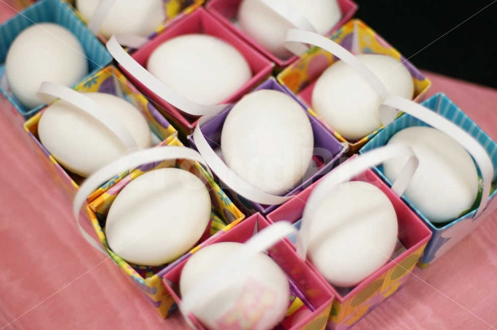계란,부활절,달걀,이스터,포장,사물,종교,Egg,Easter,Object,Nobody,Packaging,종교,신앙,religion,belief,faith,기념일,축하,anniversary,congratulation,celebrate,celebration,음식,식재료,요리,food,cook,meal,dishes,food reserves