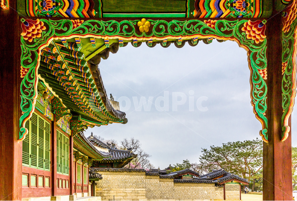 단청,문양,무늬,고궁,창덕궁,문화재,문화유산,담벼락,기와,추녀,한국전통,한국문화,korean traditional,korean culture,랜드마크,landmark,tourist attraction,한국랜드마크,한국관광지,한국명소,korea landmark,korea tourist attraction,건축물,건물외관,exterior,building,structure,architecture,construction