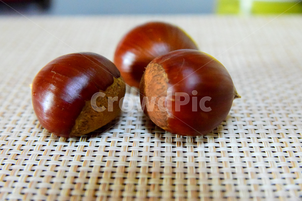 밤,밤알,알밤,열매,fruits,chestnut,가을,계절,fall,autumn,season,음식,식재료,요리,food,cook,meal,dishes,food reserves,plant,식물,vegetable,야채