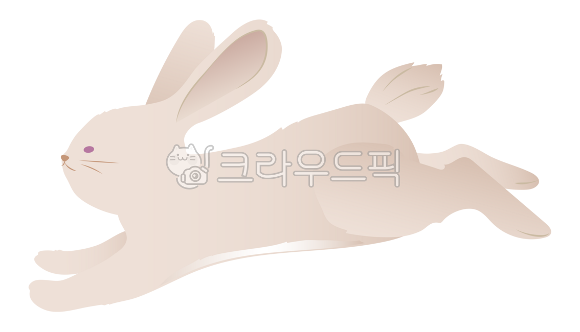토끼,뛰는토끼,점프,그림,동물,꾸미기,생물,자연,일러스트,그래픽,디자인