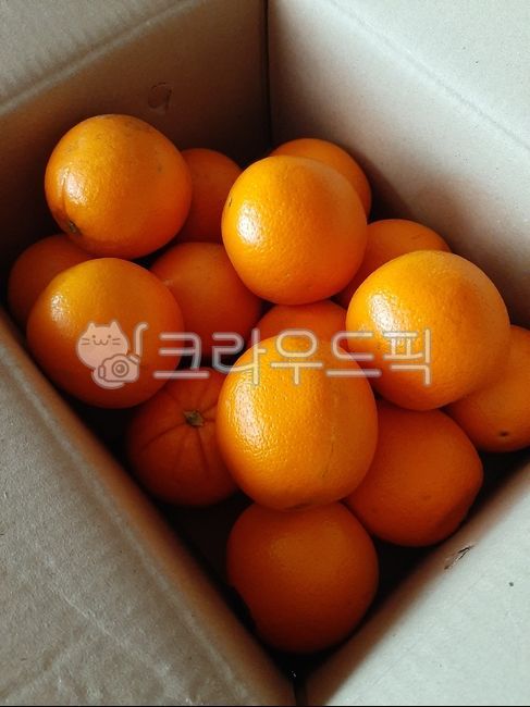 mandarin,citrus fruits,fruit,Box,box,Orange,food,tangerines,orange,citrusfruit,fruits