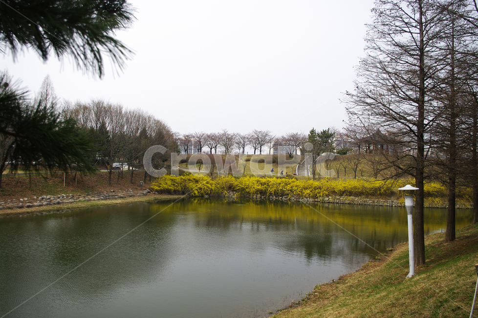 나무,공원,식물,plant,봄,spring,계절,호수,봄,계절,spring,season,자연,풍경,nature,landscape,water,물,outdoors,옥외