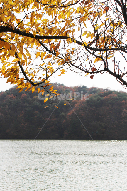 가을,호수,자연,물,하늘,단풍,maple,autumn,lake,nature,water,sky,가을,계절,fall,autumn,season,자연,풍경,nature,landscape,outdoors,옥외