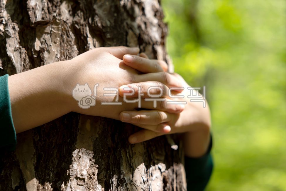 forest,hands,communion,Summer,protection,body,healing,forest path,walking,plants,embracing,hugging,Trees,rest,Surround,touching,nature,People,health,forest bathing,sustainability,environmental protection,Park,outdoors,Leisure,Environment,arms,Green