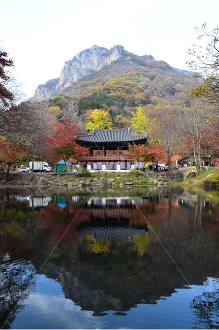 자연,풍경,단풍,계절,가을,잎,단풍잎,붉은,노란,낙엽,나무,애기단풍,백암산,fall,autumn,season,nature,landscape,한국자연풍경,한국자연경관,korea,tree,maple,leaf,백학봉,백양사,가을,계절,fall,autumn,season,자연,풍경,nature,landscape,한국전통,한국문화,korean traditional,korean culture,building,건물,architecture,건축물,temple,신전,outdoors,옥외