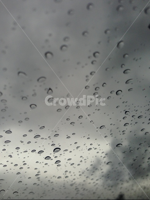 비,빗물,맺힘,물방울,빗방울,raindrop,raindrops,waterdrop,rain