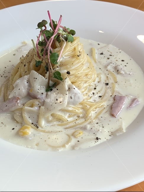 food,음식,파스타,pasta,까르보나라,크림파스타,음식,식재료,요리,food,cook,meal,dishes,food reserves,양식,서양음식,서양요리,western food,western dishes,western meal,western cook