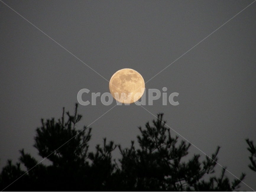 풍경,보름달,달,moon,보름,밤하늘,night,sky,korea,대보름,추석,정월대보름,한가위,중추절,하늘,둥근,원,동그란,나뭇가지,천체,동그라미,달맞이,달구경,만월,풍속,자연,가을,밤,저녁,계절,시간,autumn,우주,천문학,달토끼,nature,landscape,야경,nightscape,달빛,야경,밤,풍경,nightscape,night,landscape,nature,자연,outdoors,옥외