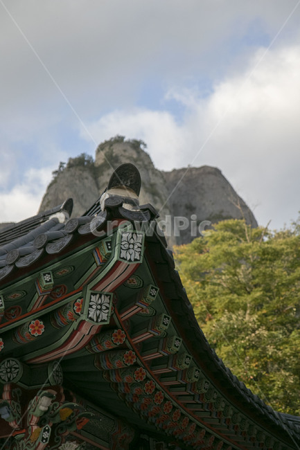 풍경,기와,건축물,옛날,nature