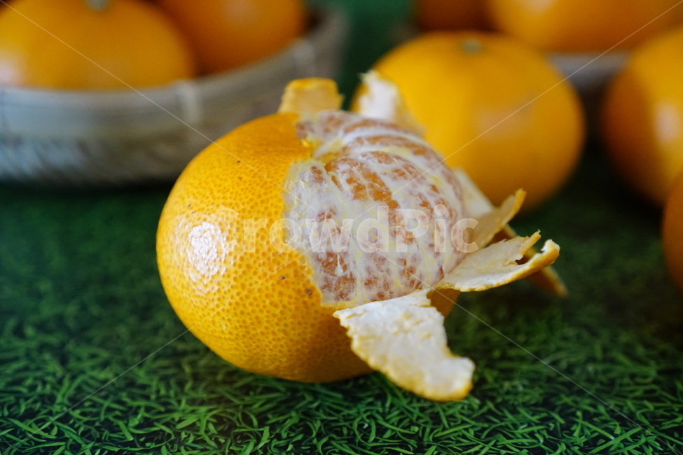 제주귤,오렌지,food,음식,감귤류과일,천혜향,제주천혜향,음식,식재료,요리,food,cook,meal,dishes,food reserves,과일,열매,fruit