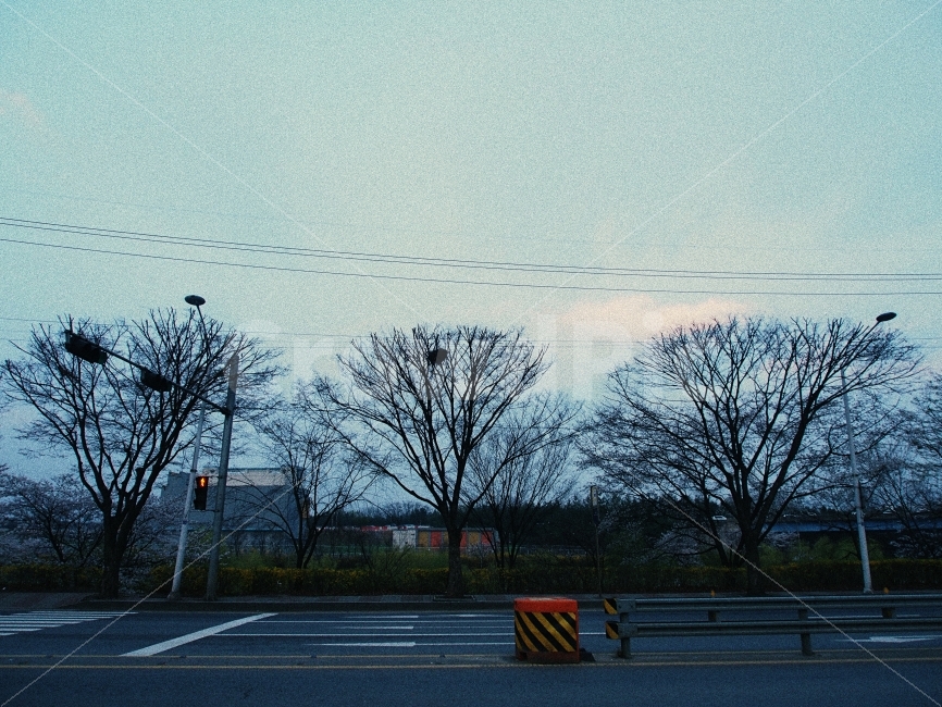 봄,흐림,나무,길거리,쓸쓸함,교통,교통수단,traffic,transportation