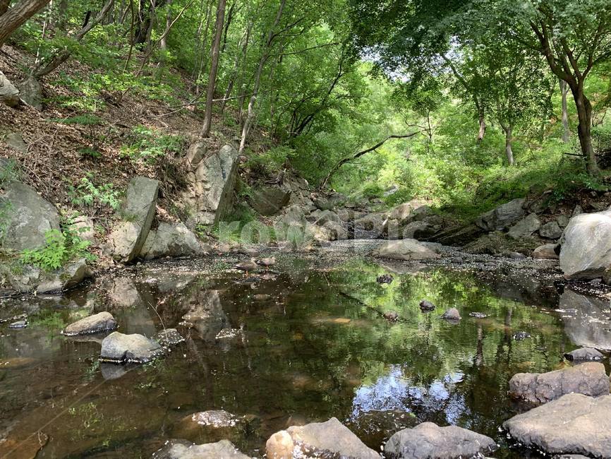 풍경,야생,자연,nature,water,시냇물,자연,풍경,nature,landscape