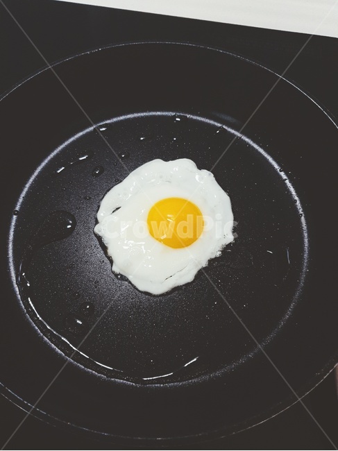 egg,계란,food,식품,노른자,흰자,후라이,계란프라이,음식,식재료,요리,food,cook,meal,dishes,food reserves