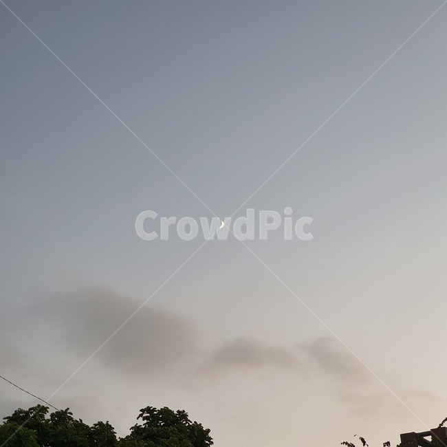 nature,자연,outdoors,하늘,구름,나무,달,초승달,그믐달,저녁하늘,sky,moon,tree,cloud,야경,밤,풍경,nightscape,night,landscape
