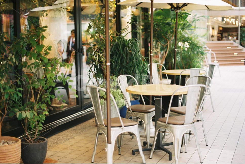 테라스,카페,cafe,terrace,화분,커피,카페,coffee,cafe,감성,sensible,feeling