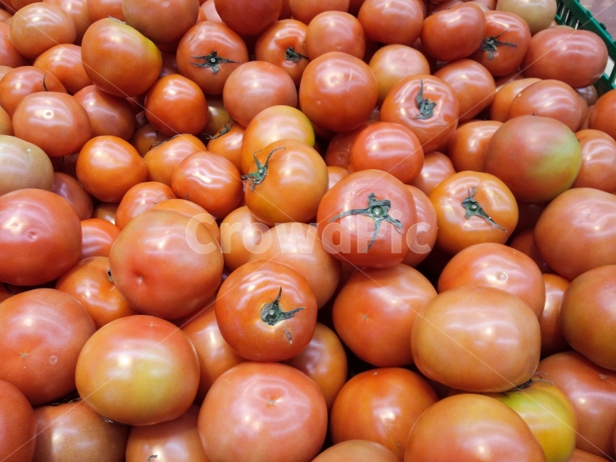 토마토,과일,채소,과채류,열매,식물,재배,식재료,쥬스,절임,시장,마트,마켓,건강한,영양가있는,비타민,식품,유기농,오가닉,신선한,tomato,red,organic,vegetable,food,raw,nature,agriculture,healthy,juicy,fresh,vegetarian,fruit,market,color,colorful,pattern,harvest,garden,cultivated,natural,salad,eating,cherry,many,freshtomatoes,diet,small,pasta,farming,sauce,sliced,plant,homegrown,gardening,villagemarket,vegeterian,tasty,vitamin,organictomatoes,vegetablesbackground,image,colorfulvegetables,ketchup,cooking,redtomato,freshfood,freshness,health,object,요리,음식,식재료,요리,food,cook,meal,dishes,food reserves,채소,야채,vegetables