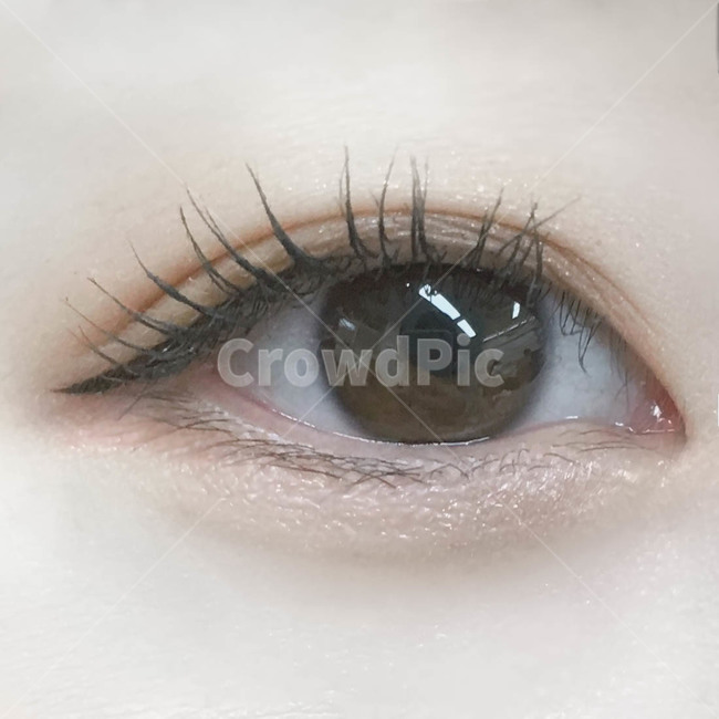 눈,속눈썹,뷰러,눈동자,클로즈업,이쁜눈,동공,마스카라,컬링,아이라인,사람,인물,인간,human,person,신체일부,몸,body,뷰티,미용,beauty treatment