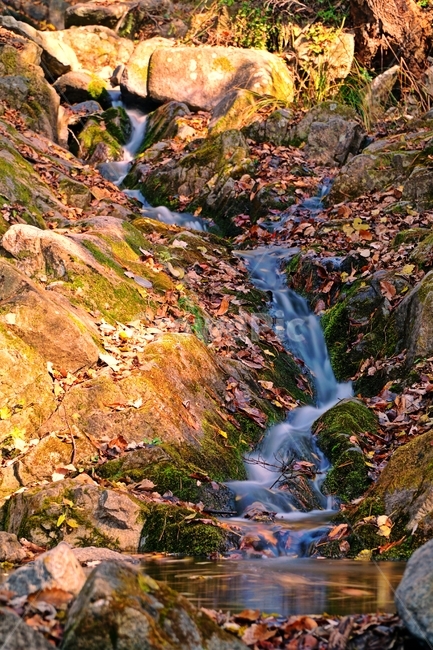 계곡,무지랭이계곡,경기도,경기북부,의정부,자연,가을,autumn,fall,11월,낙엽,물,water,나무,바위,돌,암석,tree,nature,rock,valley,outdoors,fallen,leaf,잎,식물,plant,이파리,단풍,한국,한국자연,korea,november,leaves,이끼,가을,계절,fall,autumn,season,자연,풍경,nature,landscape,옥외