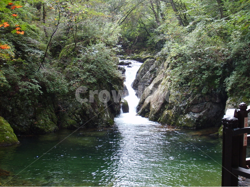 자연,물,나무,꽃,피서,자연,풍경,nature,landscape,water,outdoors,옥외