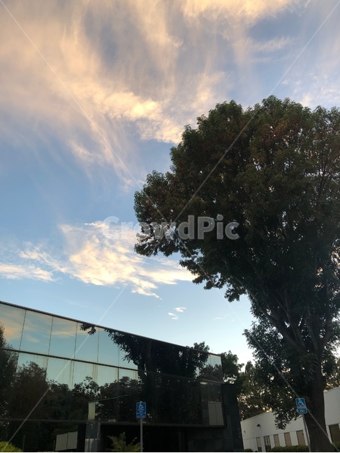 하늘,구름,노을,해질녘,풍경,자연,sunset,일몰,feeling,나무,tree,sky